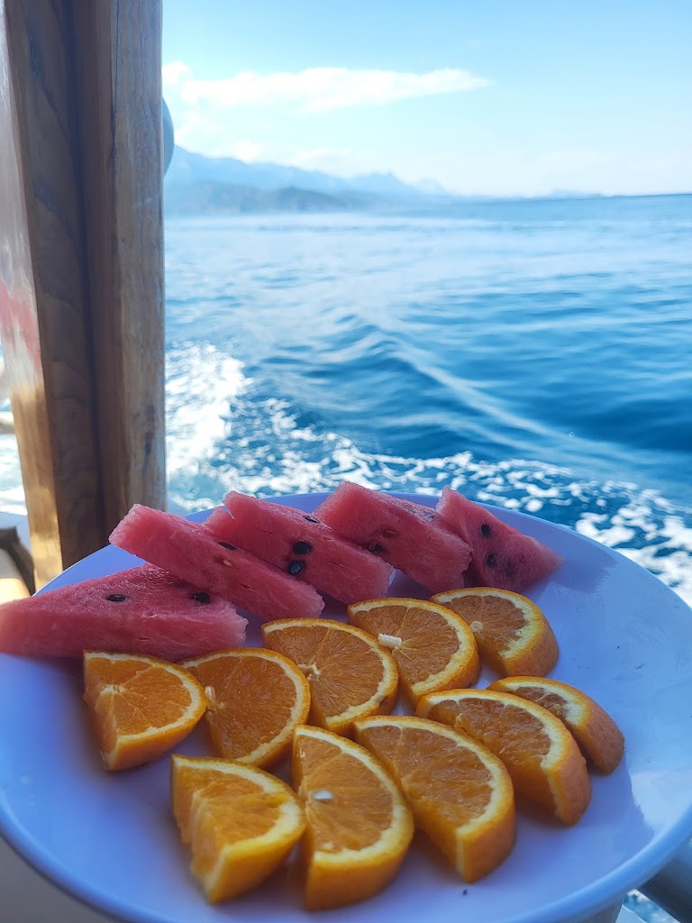 Talya