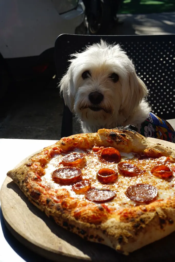 Pile Neapolitan Pizza