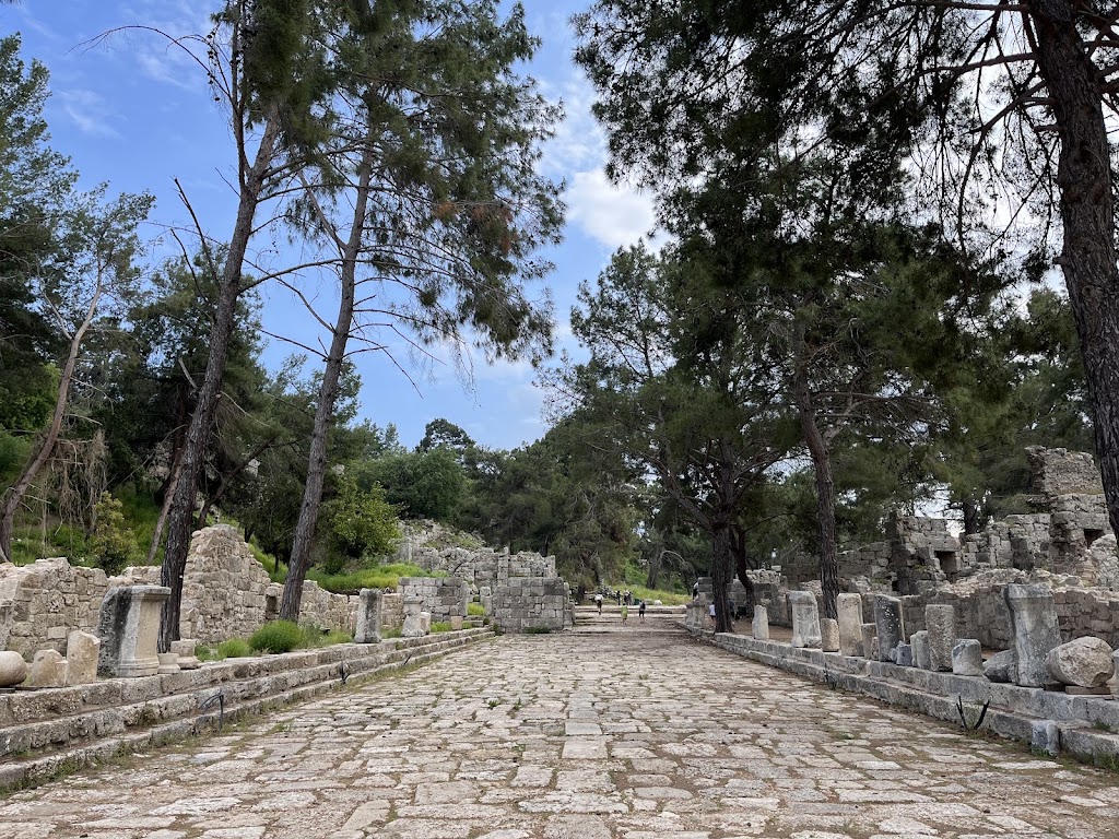 Phaselis Koyu
