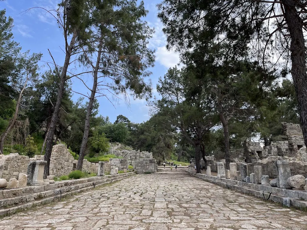 Phaselis Koyu