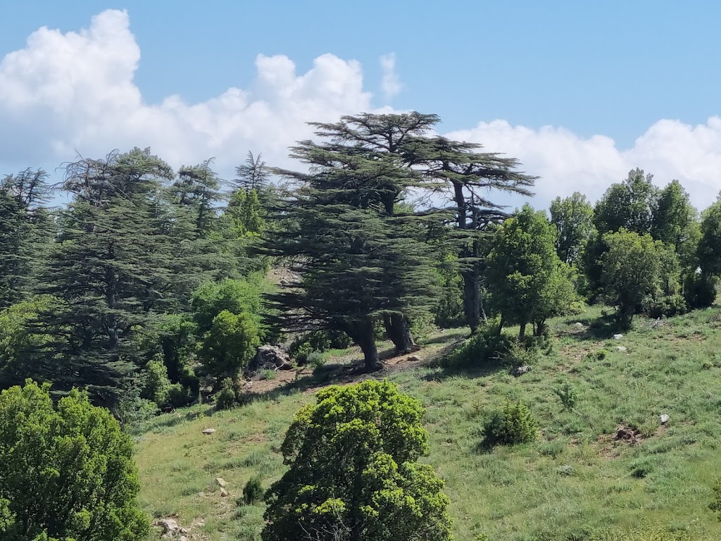 Sivri Dağ Milli Parkı