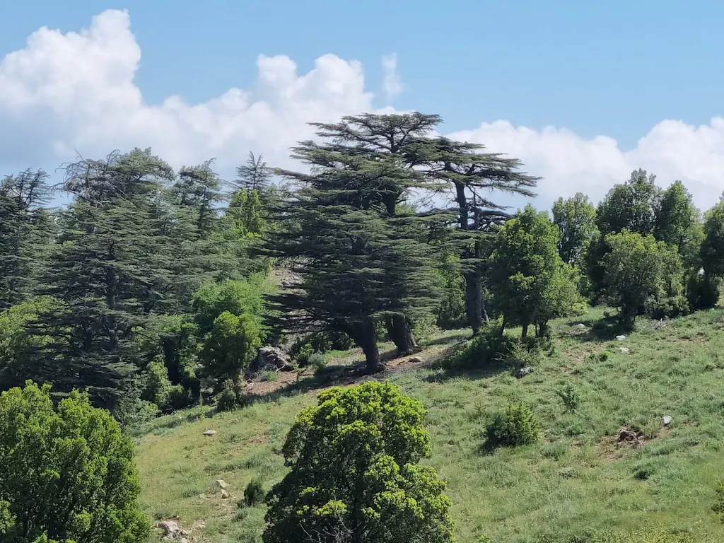 Sivri Dağ