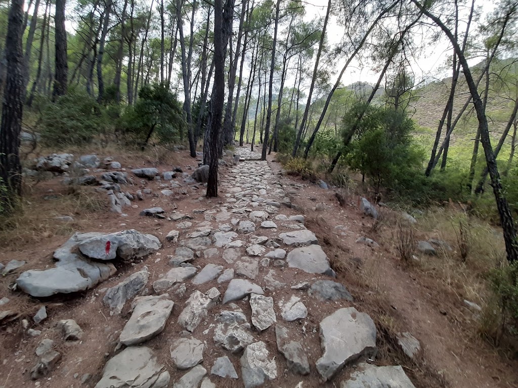 Çıralı-yanartaş Mesire Alanı