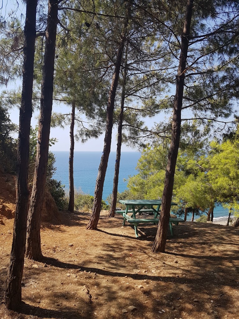Konaklı Piknik/Mangal Alanı