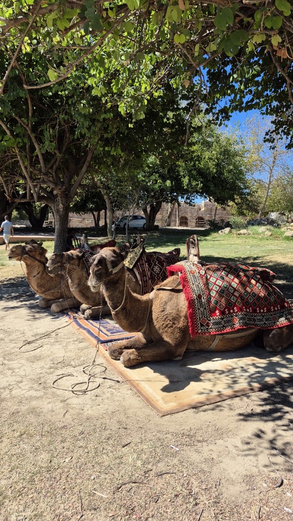 Anıtsal Çeşme