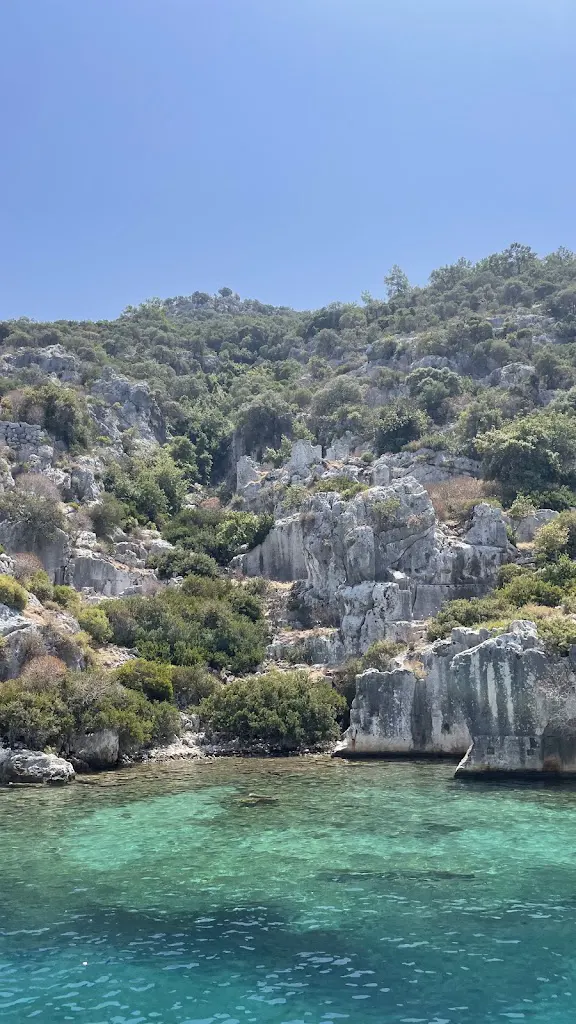 Çamlık Koyu