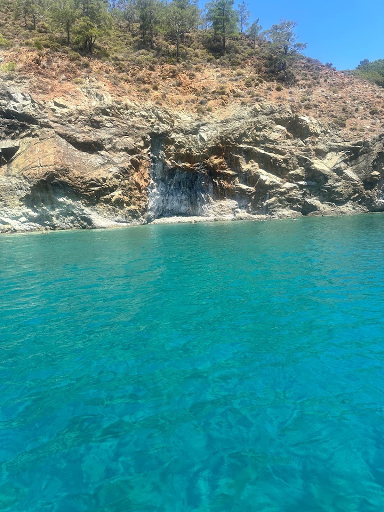 Önder Kaptan