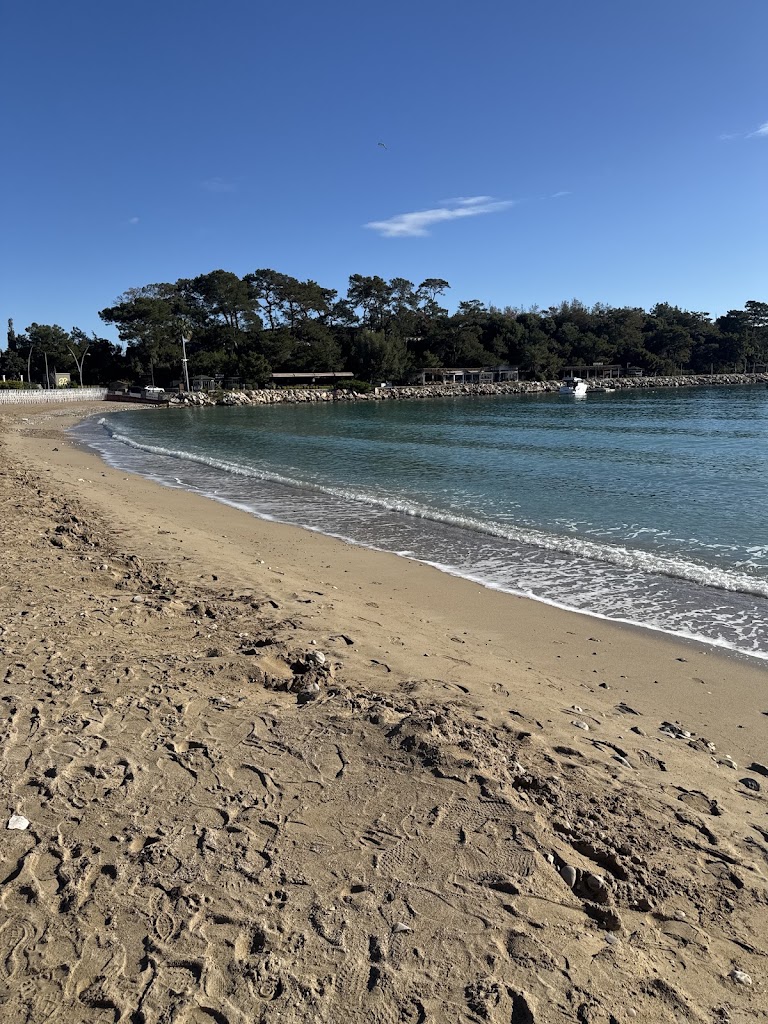Moonlight Beach