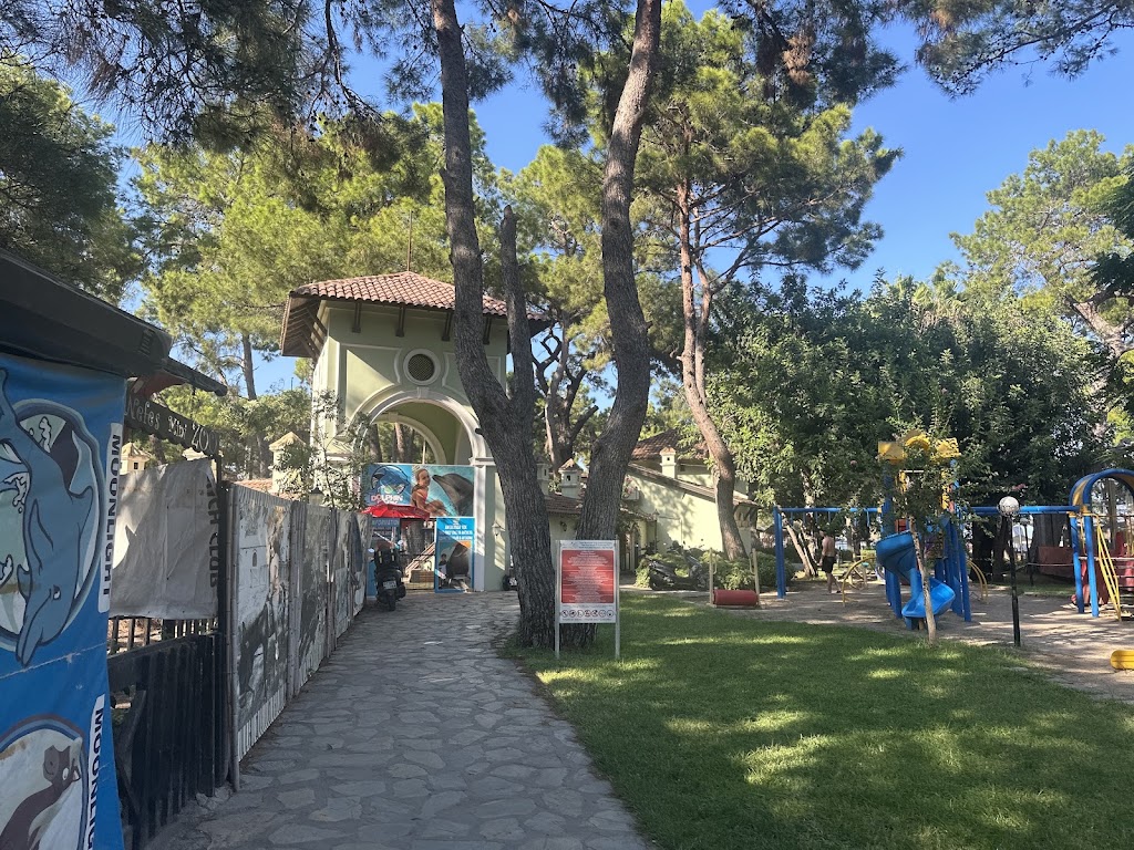 Ayışığı Plajı