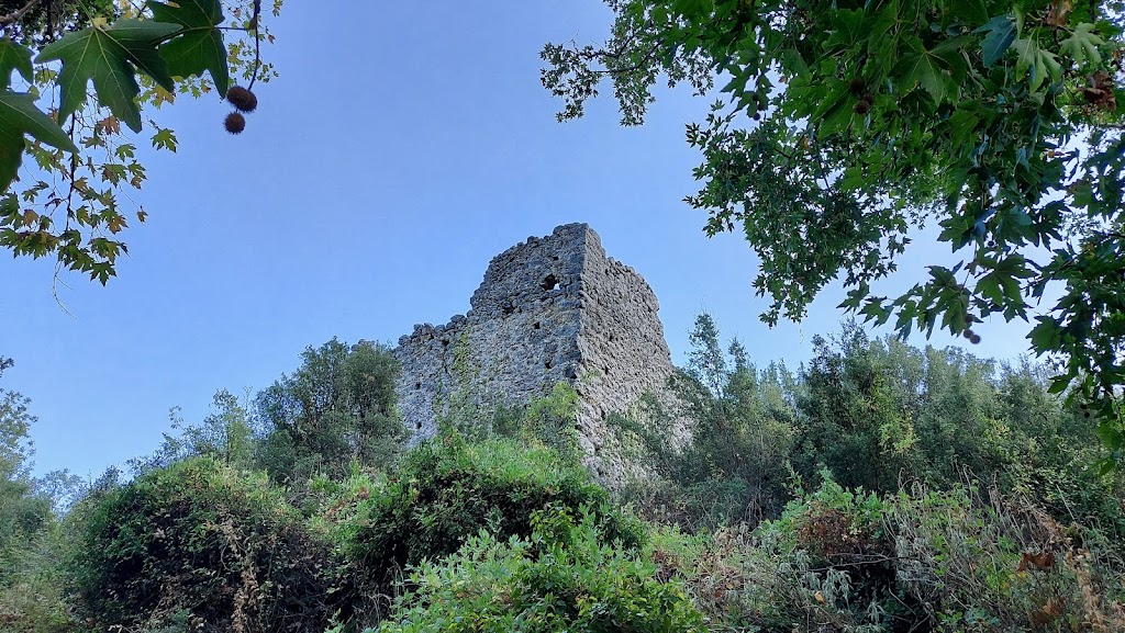 Gedelme Castle