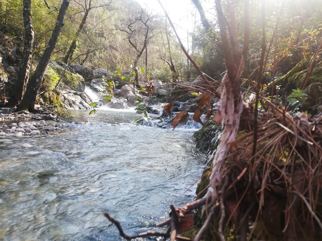 Doğal Su Kaynağı