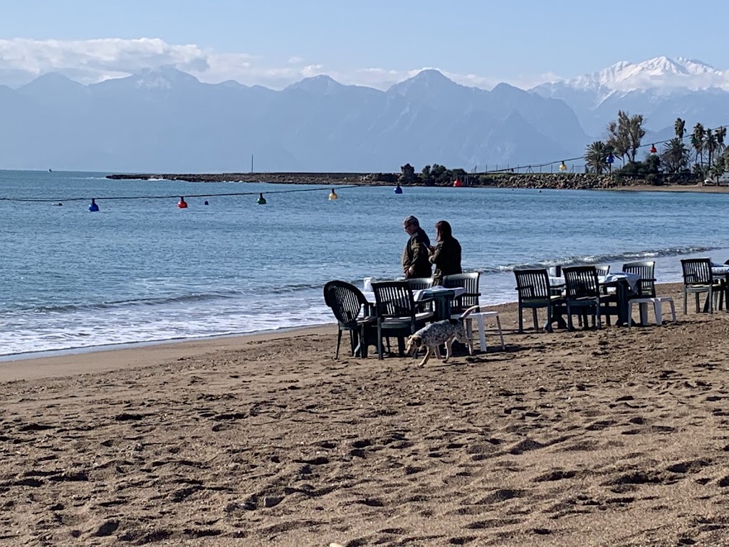 Omi Beach