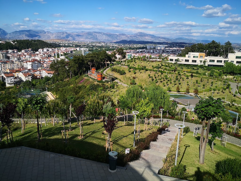 Türkbeleni Ormanı