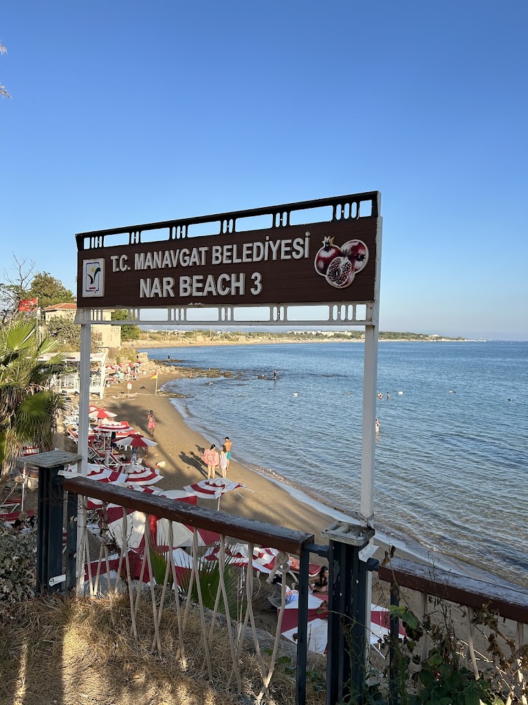 Nar Plaji 1
