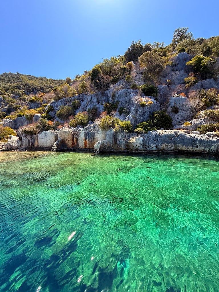 Mutlu Kaptan