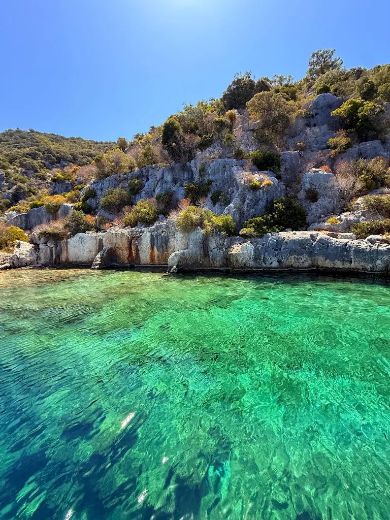 Mutlu Kaptan