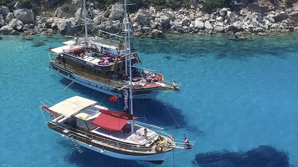 Sea Bella & Junior