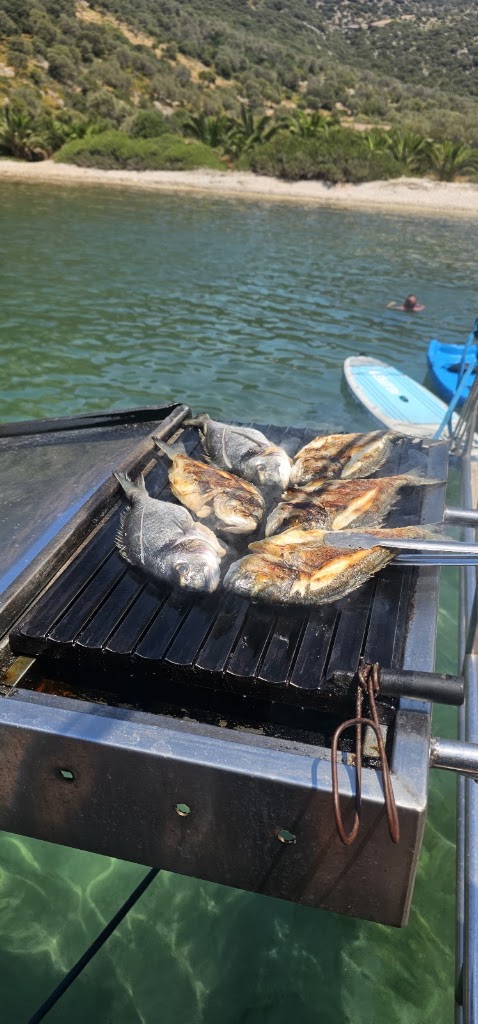 Kosta Boat