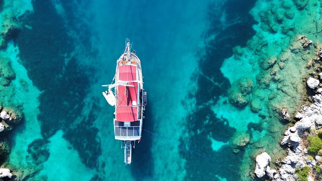 Phellos Boat