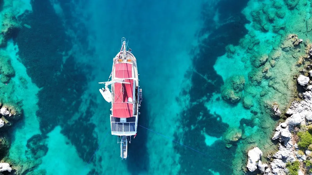 Phellos Boat