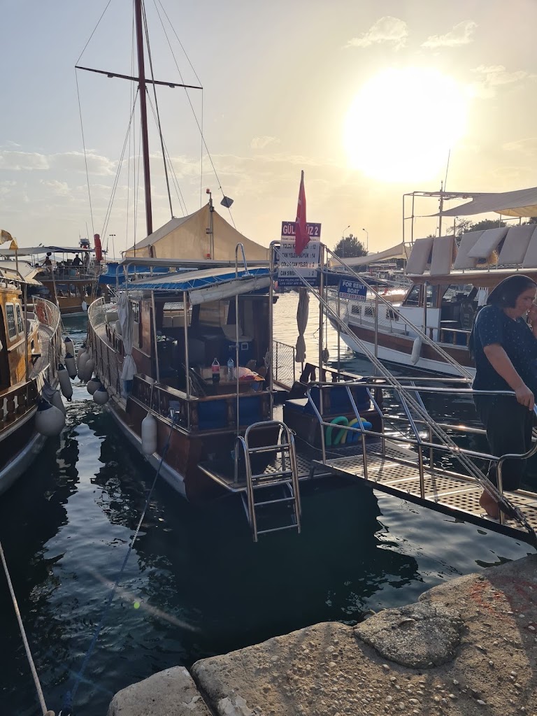 Güleryüz 2
