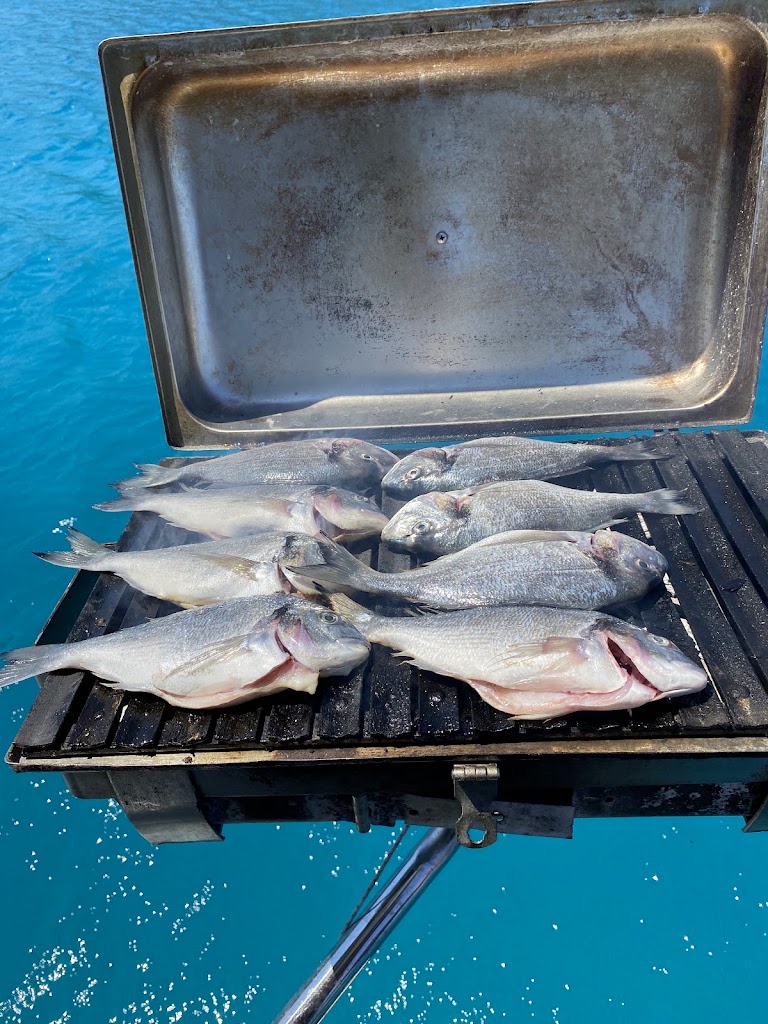 Saniş Boat