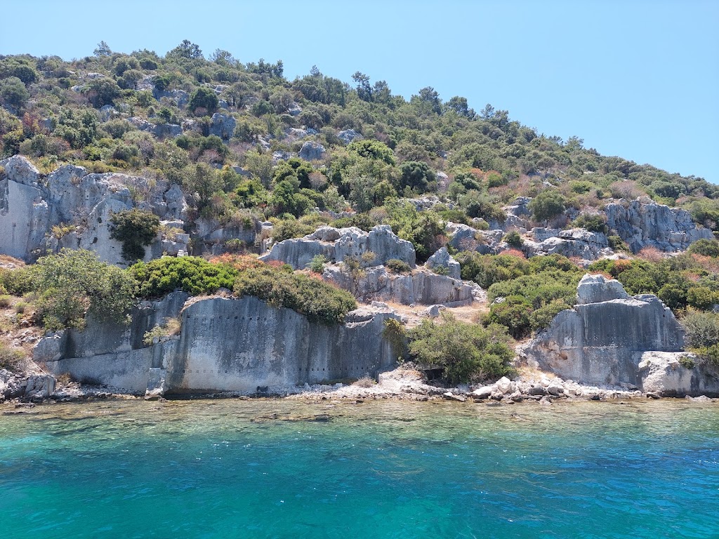 Mahmut Kaptan